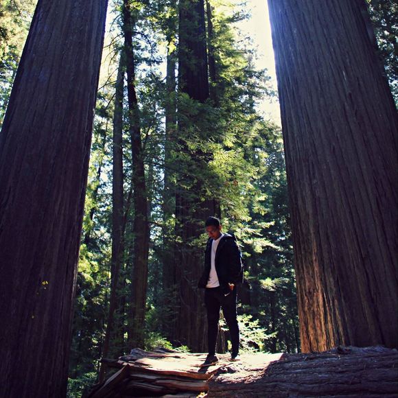 Meet your Posher, Felix - Picture 1 of 1